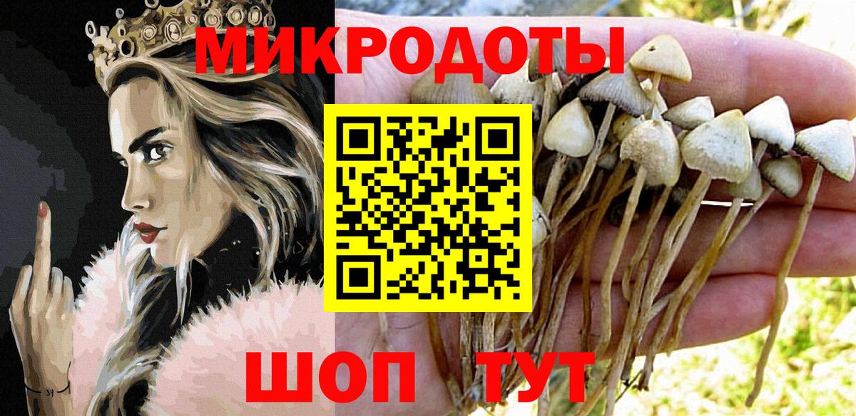 Галлюциногенные грибы Magic Shrooms Ставрополь